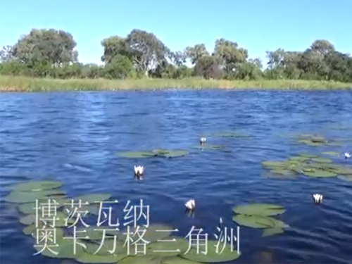 博茨瓦纳