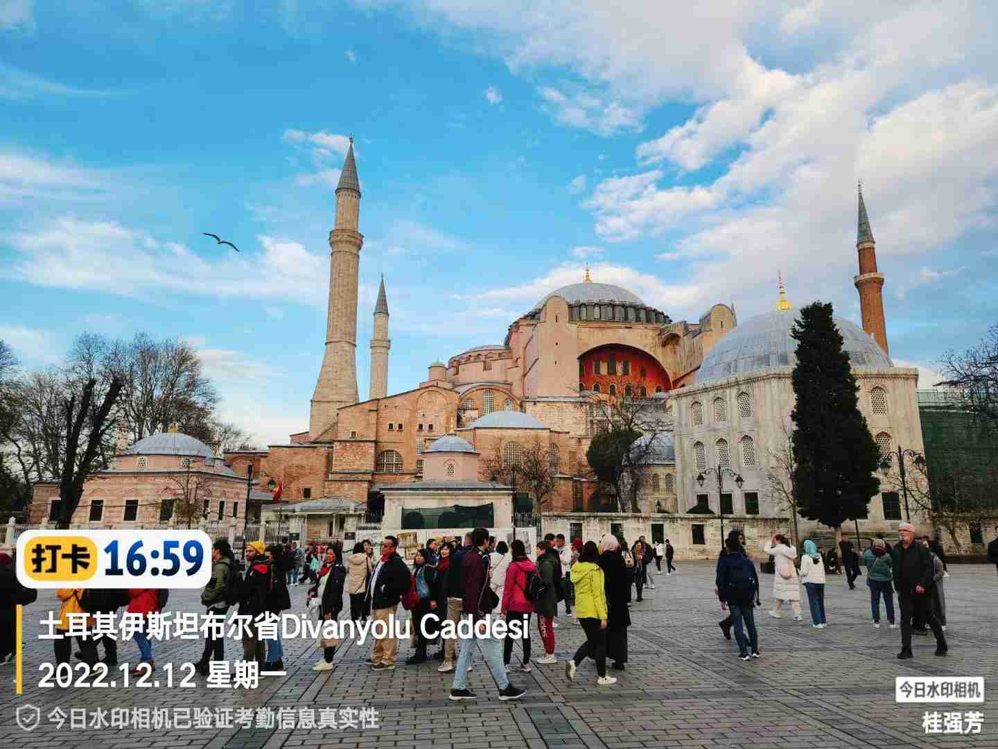 1670922413130671.jpg